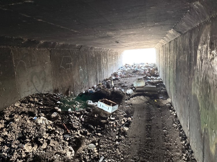 environmental remediation services in Arizona for guano and animal feces cleanup