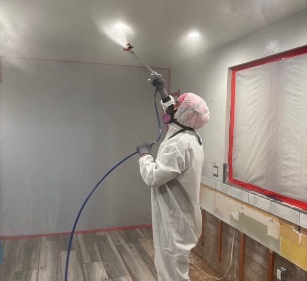 environmental remediation projects in Arizona for residential mold remediation